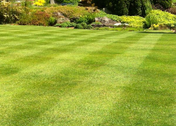 Commercial Grass Cutting in Spokane