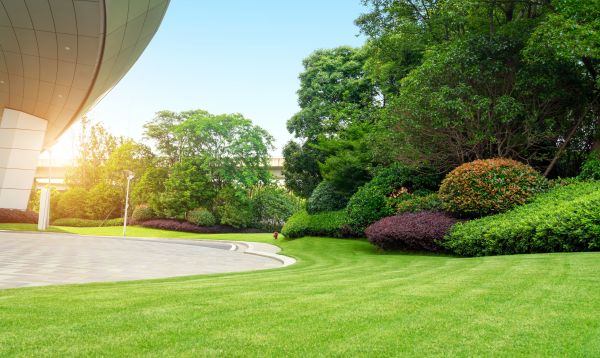 Commercial Lawn Care in Spokane