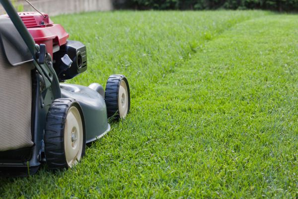 Residential Lawn Care in Spokane