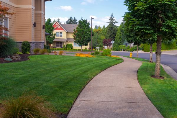 Home Lawn Maintenance in Spokane