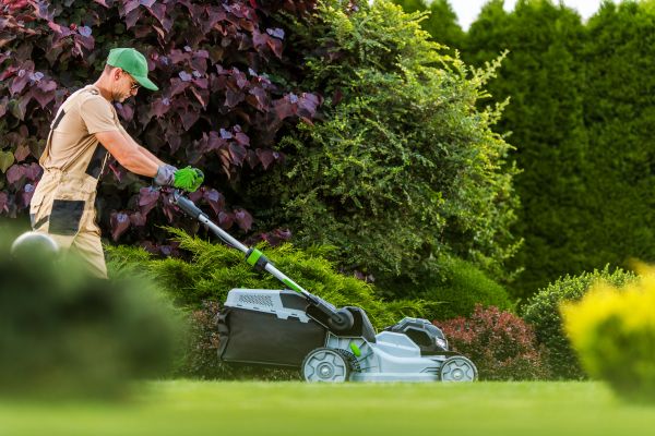 Lawn Management in Spokane