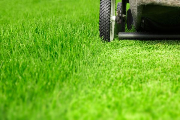 Weekly Lawn Care in Spokane