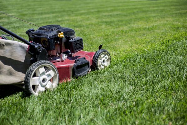 Routine Lawn Care in Spokane