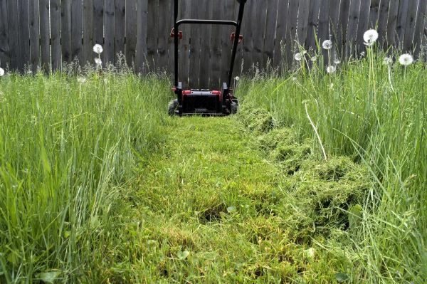 High Grass Mowing in Spokane