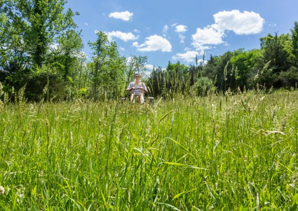 Long Grass Mowing in Spokane