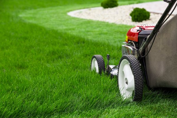 Lawn Trimming in Spokane