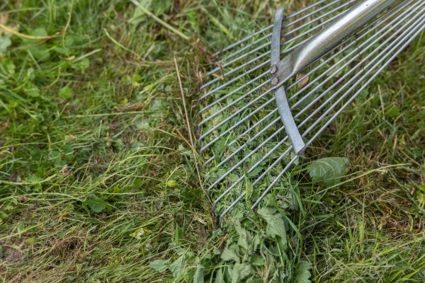 Thatch Raking in Spokane
