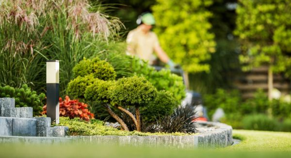 Residential Yard Maintenance in Spokane