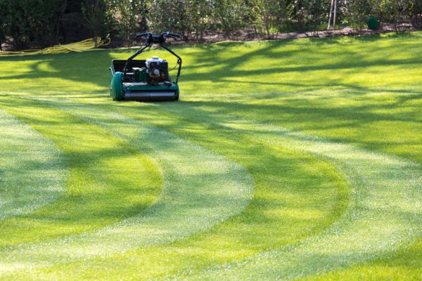 Business Lawn Mowing in Spokane