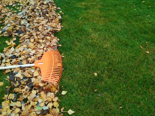 Fall Lawn Care in Spokane