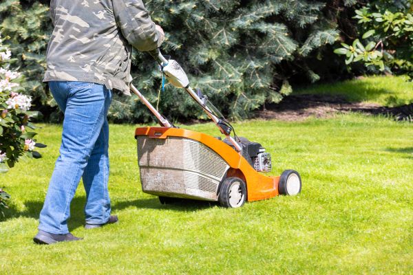 Springtime Lawn Care in Spokane