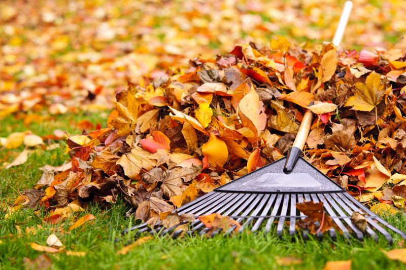 Fall Yard Maintenance Tools