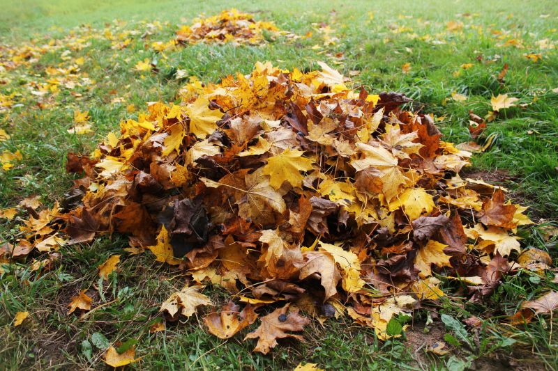 Mulching Leaves Professionally