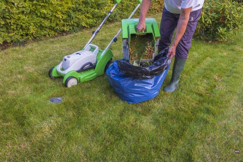 Lawn Protection During Cleanup