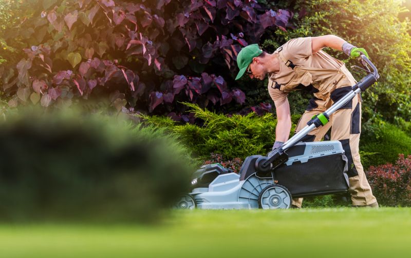 Local Lawn Care Trends